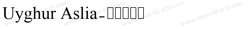 Uyghur Aslia字体转换